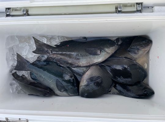 渡船よしだ屋／’２３年１２月２５日（月）　磯釣りの釣果①