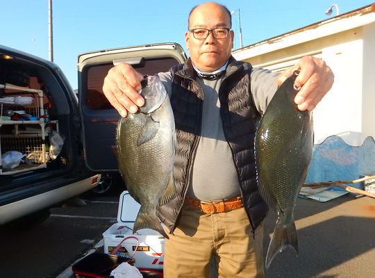 渡船よしだ屋／’２３年１２月２８日（木）　磯釣りの釣果①
