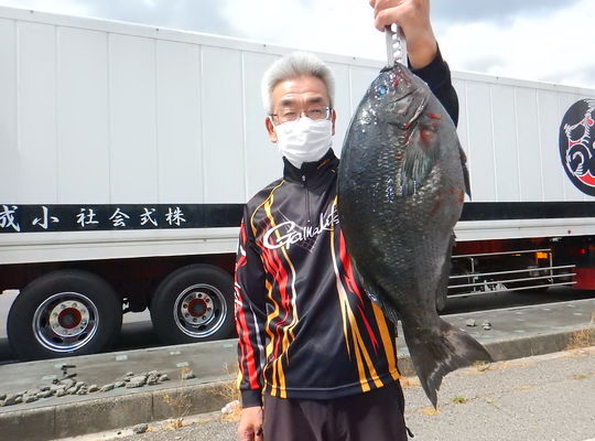 渡船よしだ屋／’２４年６月４日（火）　磯釣りの釣果①