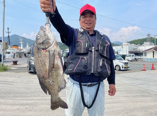 渡船よしだ屋／’２４年６月１６日（日）　湾内釣り場の釣果①
