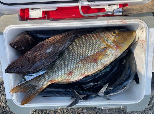 渡船よしだ屋／'２４年１０月１２日（土）　磯釣りの釣果①