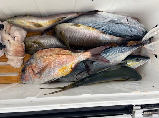 渡船よしだ屋／'２４年１０月２４日（木）　磯釣りの釣果①