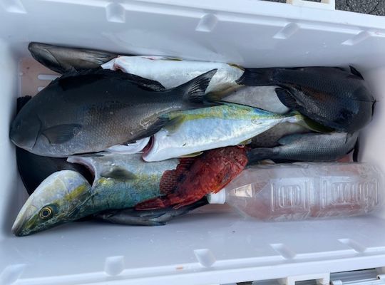 渡船よしだ屋／’２４年１１月１３日（水）　磯釣りの釣果①