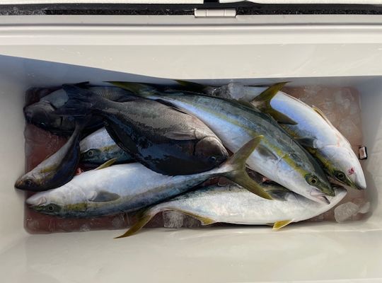 渡船よしだ屋／’２４年１１月１９日（火）　磯釣りの釣果①