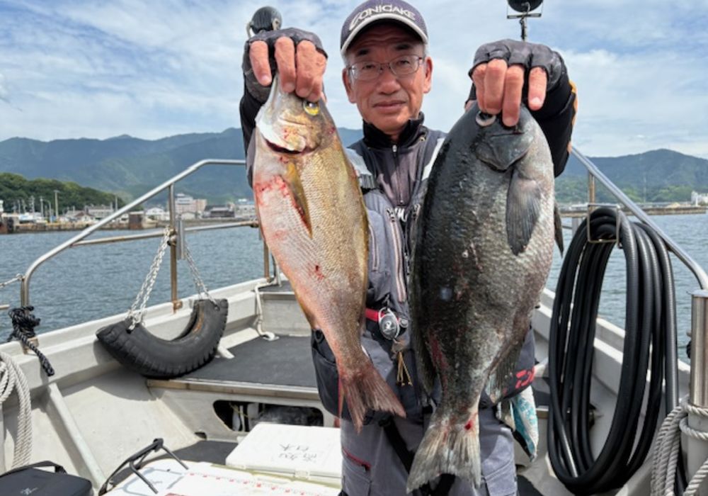 渡船よしだ屋／’２５年６月１８日（水）　磯釣りの釣果①