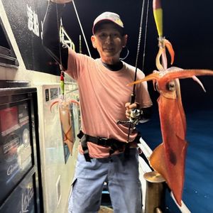 渡船よしだ屋／’２５年８月５日（火）　夜イカ釣り船の釣果①