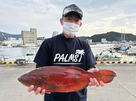 渡船よしだ屋／’２５年１０月１８日（土）　磯釣りの釣果①