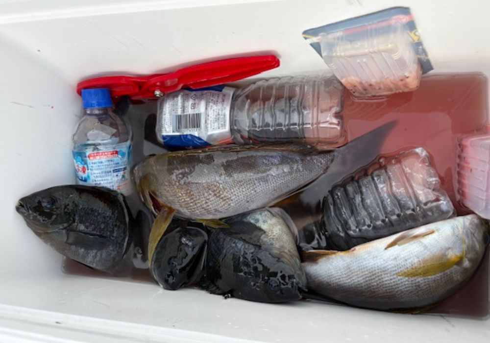 渡船よしだ屋／’２５年１０月２０日（月）　磯釣りの釣果①