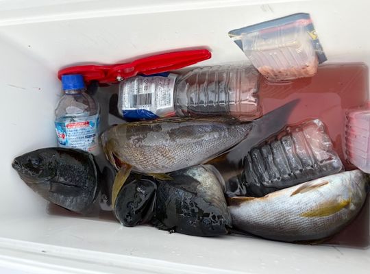 渡船よしだ屋／’２５年１０月２０日（月）　磯釣りの釣果①