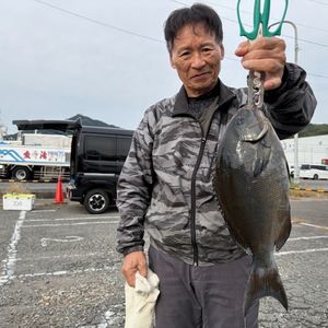 渡船よしだ屋／’２５年１１月４日（火）　磯釣りの釣果①