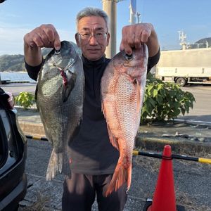 渡船よしだ屋／’２５年１１月８日（土）　磯釣りの釣果①