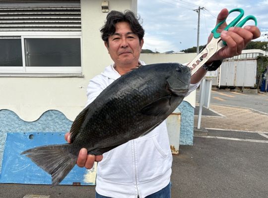 渡船よしだ屋／’２５年１１月１１日（火）　磯釣りの釣果①