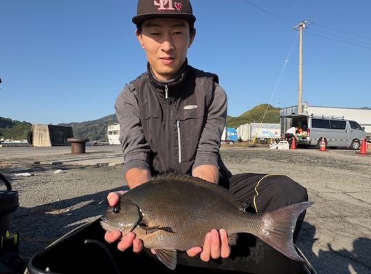 渡船よしだ屋／’２５年１１月１４日（金）　磯釣りの釣果①