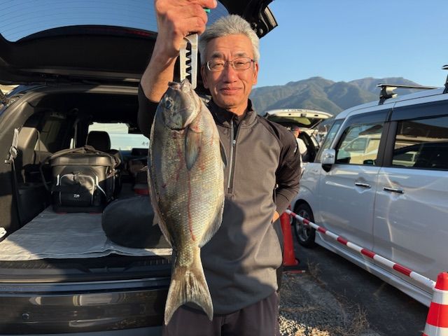 磯辺12 25年12月7日（日） 磯釣りの釣果 | 愛媛を拠点に渡船にまつわる