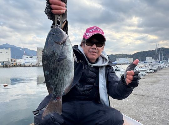 渡船よしだ屋／＇２６年１月４日（日）　磯釣りの釣果①
