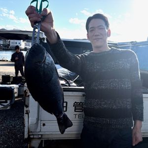 渡船よしだ屋／’２６年１月１０日（土）　磯釣りの釣果①