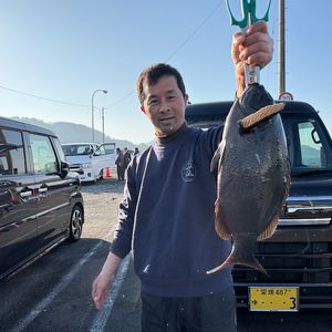 渡船よしだ屋／’２６年１月１６日（金）　磯釣りの釣果①