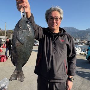 渡船よしだ屋／’２６年１月１７日（土）　磯釣りの釣果①