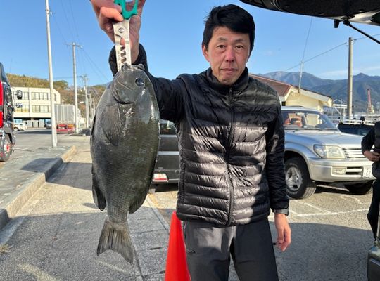 渡船よしだ屋／’２６年１月３１日（土）　磯釣りの釣果①