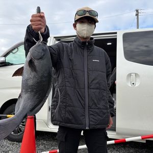 渡船よしだ屋／’２６年２月１０日（火）　磯釣りの釣果①