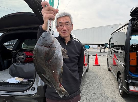 渡船よしだ屋／’２６年３月２９日（日）　磯釣りの釣果①