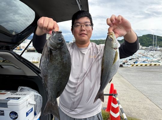 渡船よしだ屋／’２６年５月６日（水）　磯釣りの釣果①