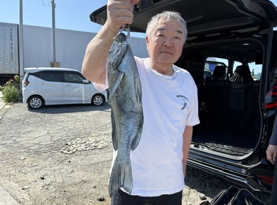 渡船よしだ屋／’２６年５月１７日（日）　磯釣りの釣果①