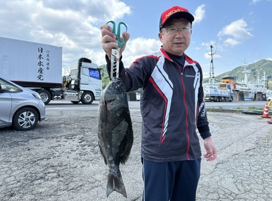 渡船よしだ屋／’２６年５月２３日（土）　磯釣りの釣果①