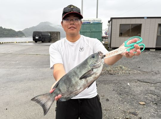 渡船よしだ屋／’２６年６月８日（月）　磯釣りの釣果①①