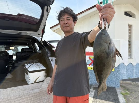 渡船よしだ屋／’２６年６月１３日（土）　磯釣りの釣果①