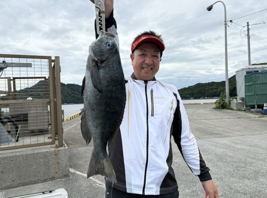 渡船よしだ屋／’２６年６月１７日（水）　磯釣りの釣果①