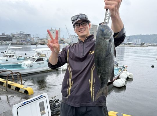 渡船よしだ屋／’２６年６月２０日（土）　磯釣りの釣果①