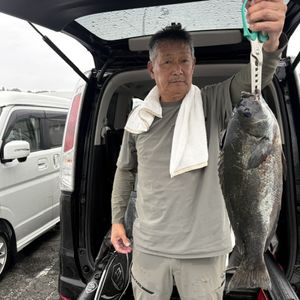 渡船よしだ屋／’２６年７月５日（日）　磯釣りの釣果①