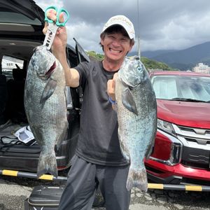 渡船よしだ屋／’２６年７月７日（火）　磯釣りの釣果①