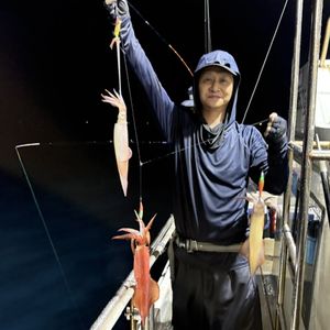 渡船よしだ屋／’２６年８月３日（月）　夜イカ釣りの釣果①