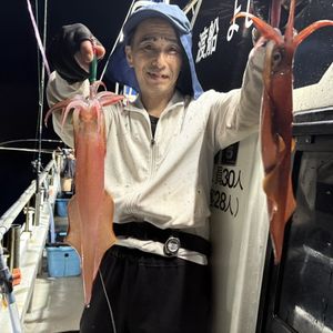渡船よしだ屋／’２６年８月２９日（土）　夜イカ釣りの釣果①