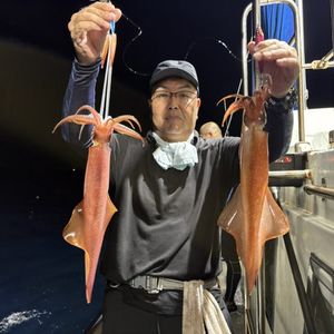 渡船よしだ屋／’２６年８月３０日（日）　夜イカ釣りの釣果①