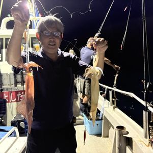 渡船よしだ屋／’２６年９月２日（水）　夜イカ船釣りの釣果①