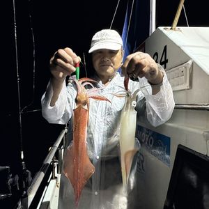渡船よしだ屋／’２６年９月２５日（金）　夜イカ船釣りの釣果①