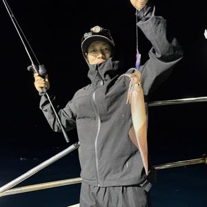 渡船よしだ屋／’２６年９月２６日（土）　夜イカ船釣りの釣果①