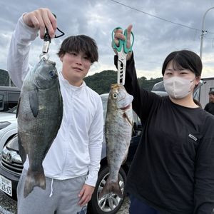 渡船よしだ屋／’２６年１０月１０日（土）　磯釣りの釣果①